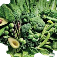 food index