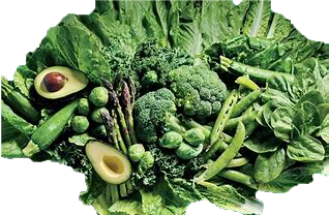 food index